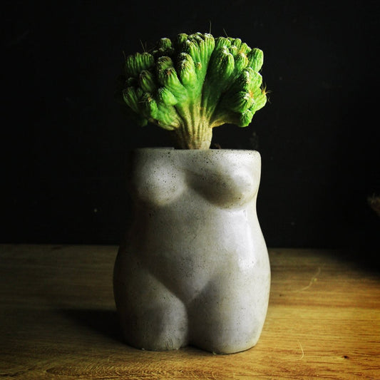 Concrete female body vase / plant pot / goddess / body positive / naked body / bud vase / concrete pot / gift for her / handmade