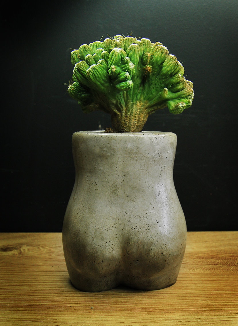 Concrete female body vase / plant pot / goddess / body positive / naked body / bud vase / concrete pot / gift for her / handmade