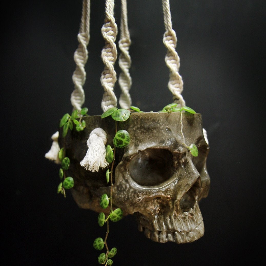 Skull Hanging Pot