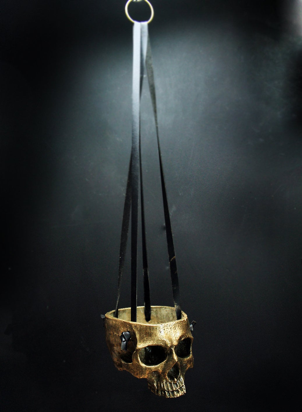 Skull Hanging Pot