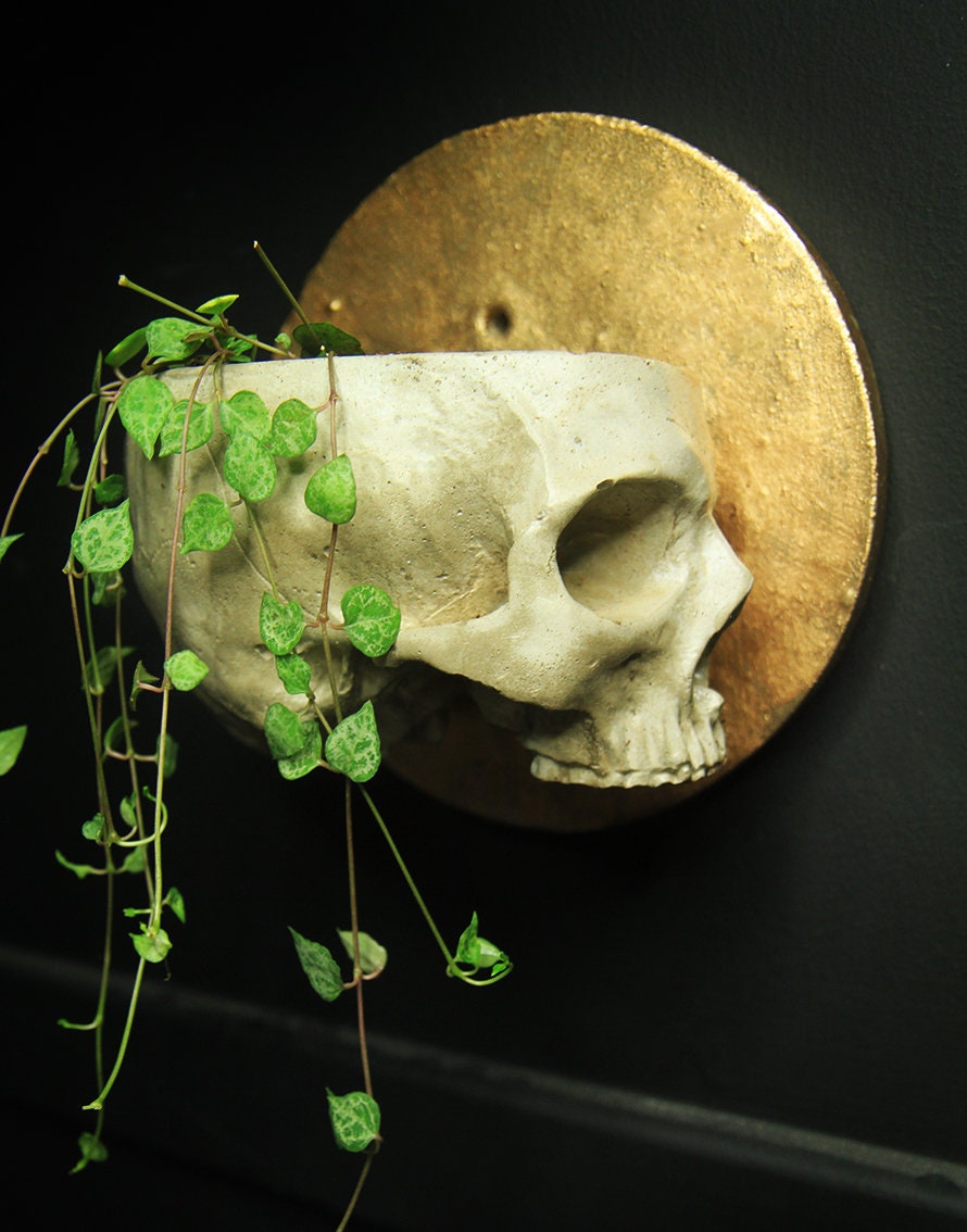 skull- Hanging Wall Pot for succulents