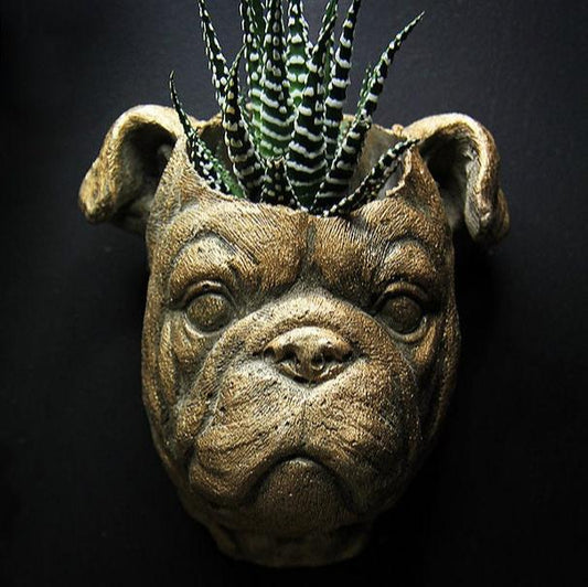 pug head hanging wall pot for succulents and airplants