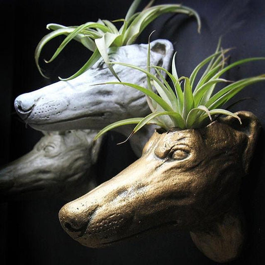 Greyhound dog head hanging wall pot for succulent