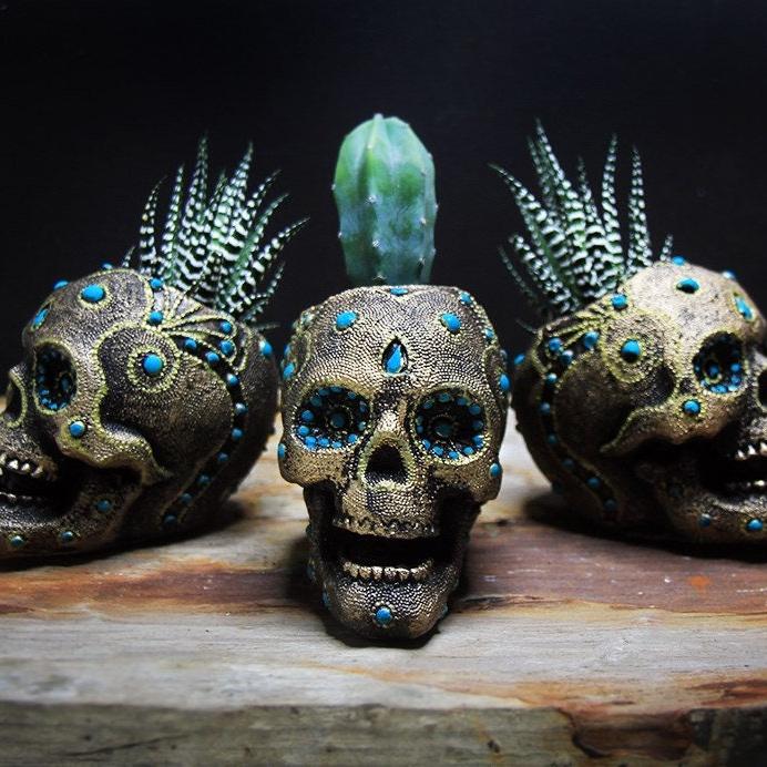 Succulent decorative Skull Planter