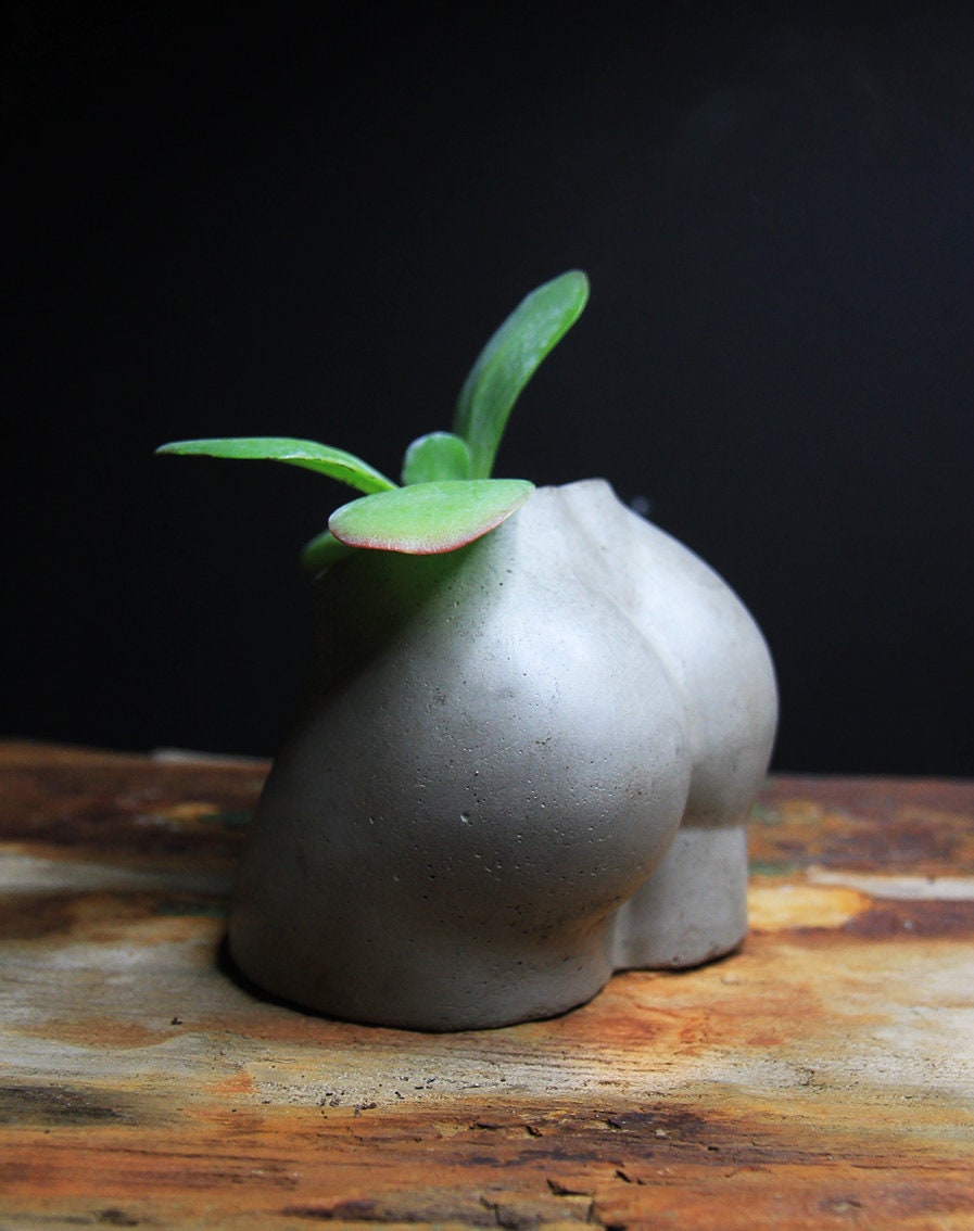 Booty Vase | Body Planter | Female Body Planter | Bum Planter | Airplant Holder | Butt Vase | Minimalist Planter