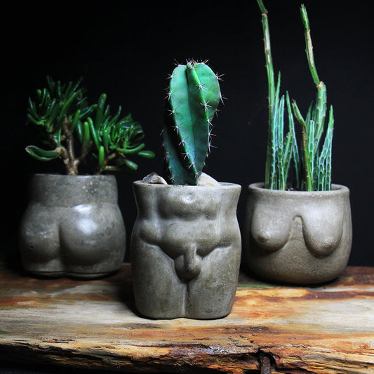 Concrete male body  planter pot naked body / bud vase / concrete pot / gift / handmade