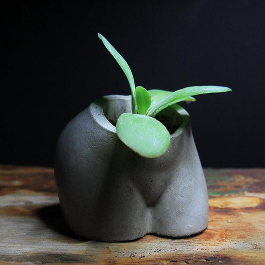 Booty Vase | Body Planter | Female Body Planter | Bum Planter | Airplant Holder | Butt Vase | Minimalist Planter