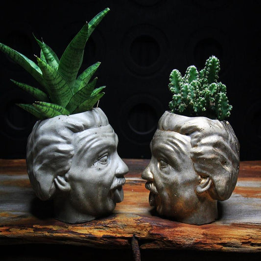 Concrete Planter Albert Einstein Art Home Decor