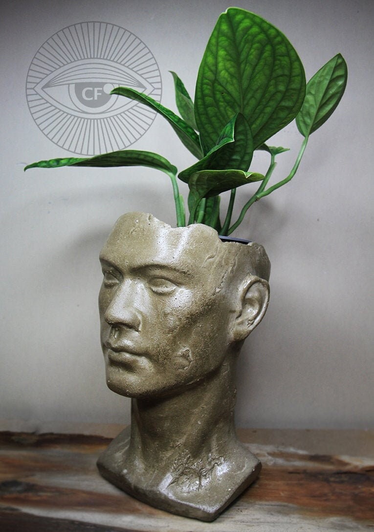 head flower pot, Men head pot, sculpture - flower pot, concrete pot, handmade planter