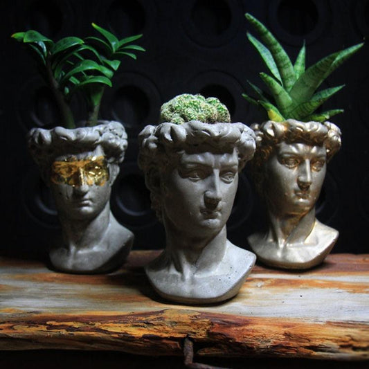 Concrete Head Planter / Male Head Planter / Concrete Head Planter / Unique Planter / Head Planter / Flower Pot David Statue/ David Statue