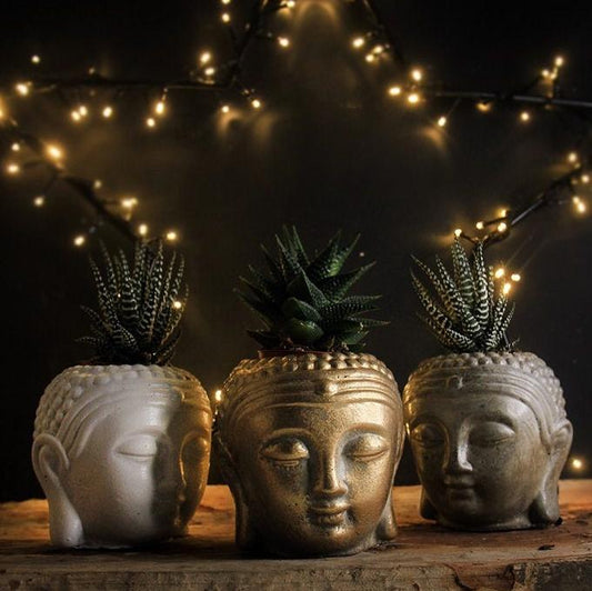 Buddha head planter for sucullent