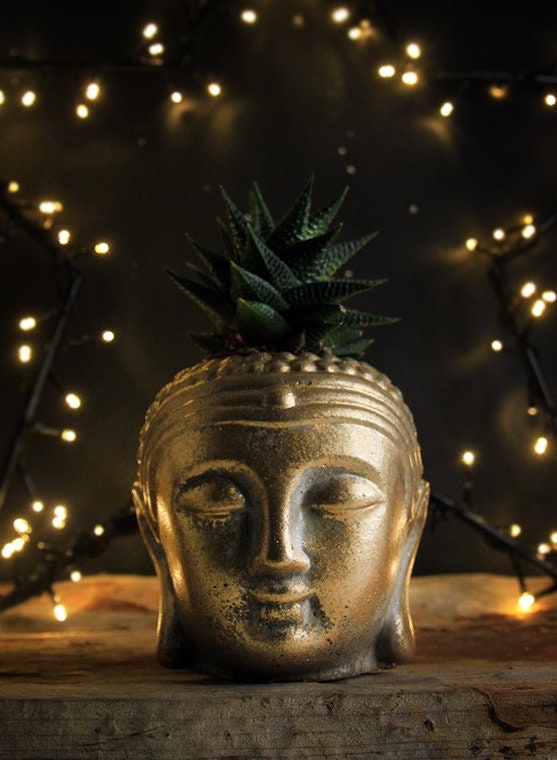 Buddha head planter for sucullent