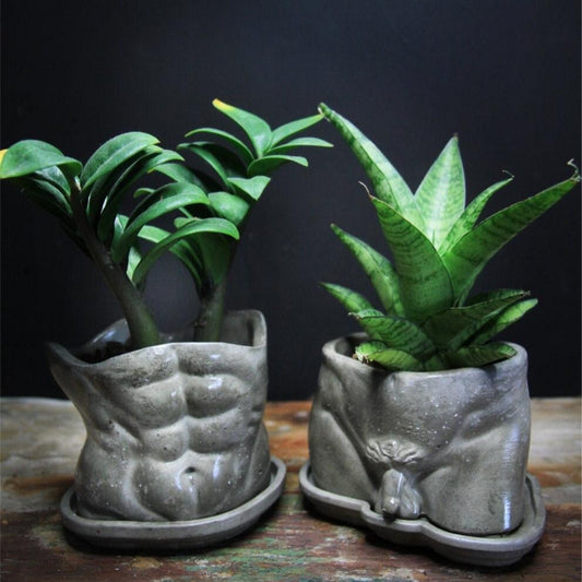 David Concrete male body  planter pot naked body / bud vase / concrete pot / gift / handmade