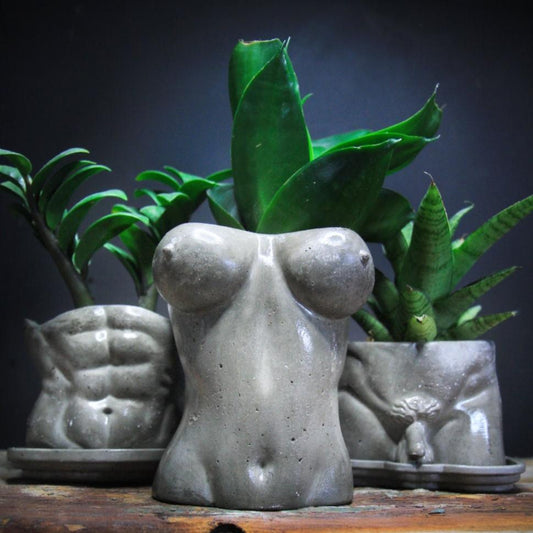 Boobies planter pot Concrete female body plant pot  body positive naked body bud vase concrete pot gift for her handmade