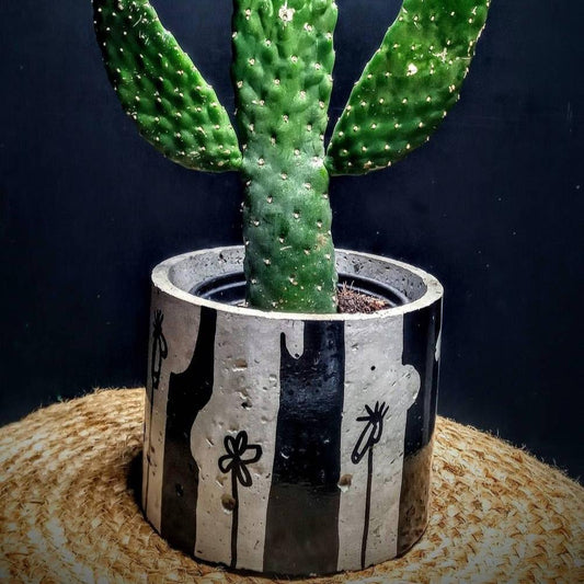 hand painted round Concrete Pot