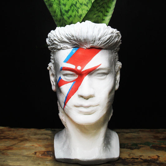 David  headpot - hand painted flower pot