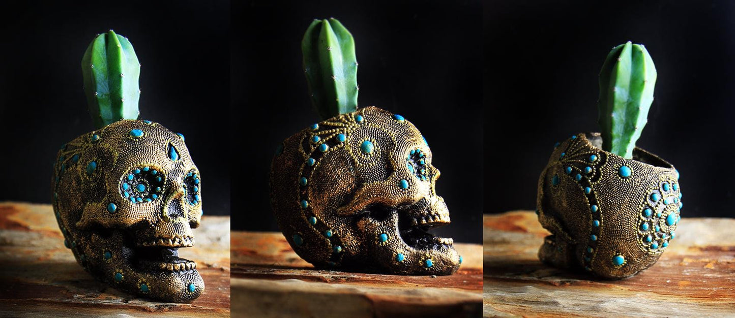 Succulent decorative Skull Planter