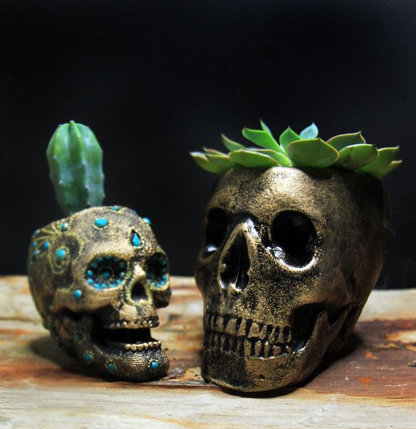 Succulent decorative Skull Planter